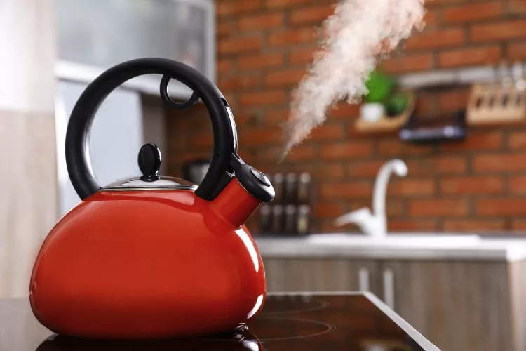 How to Remove Rust from Tea Kettle ?