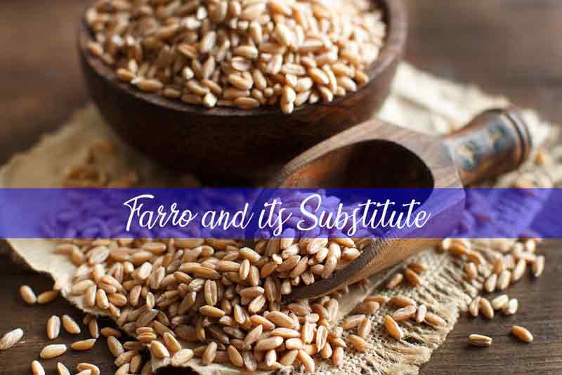 All You Need to Know About Farro & its Substitute