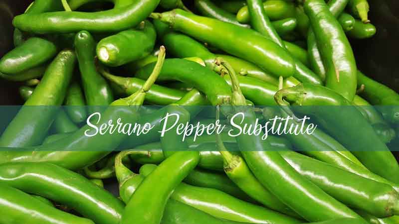 Top 08 Serrano Pepper Substitute You Can Use