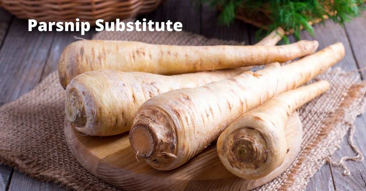 9 Best Parsnip Substitute in Cooking