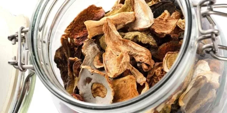 Dried or canned mushrooms