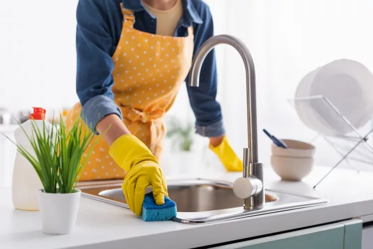 What is a Kitchen Sink Used for?