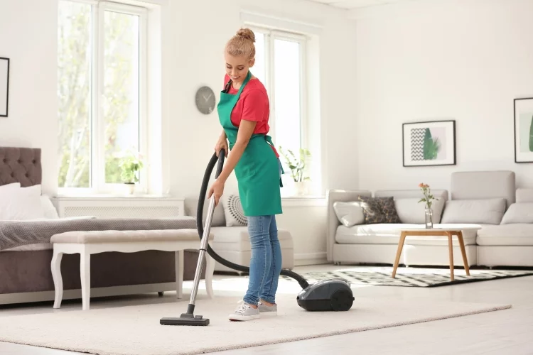 Best Carpet Vacuum for Pet Hair & Deep Cleaning Carpet