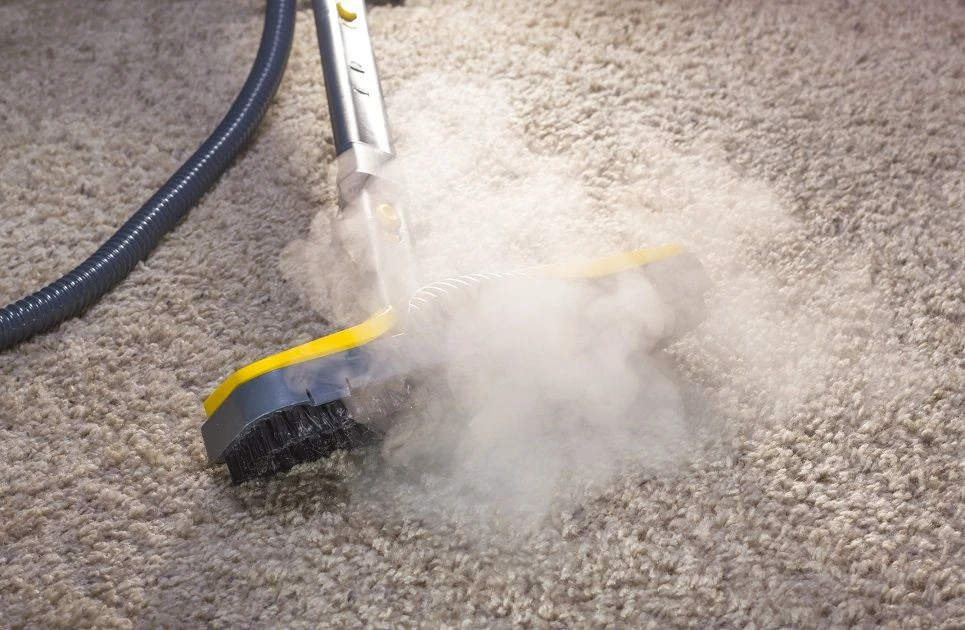 Best Home Carpet Steam Cleaner Consumer Reports Reviews