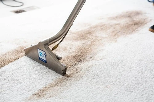 Best Carpet Cleaner Machine