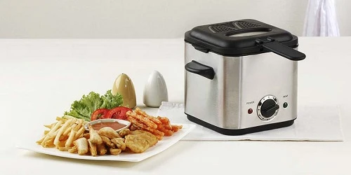 Best Deep Fryer