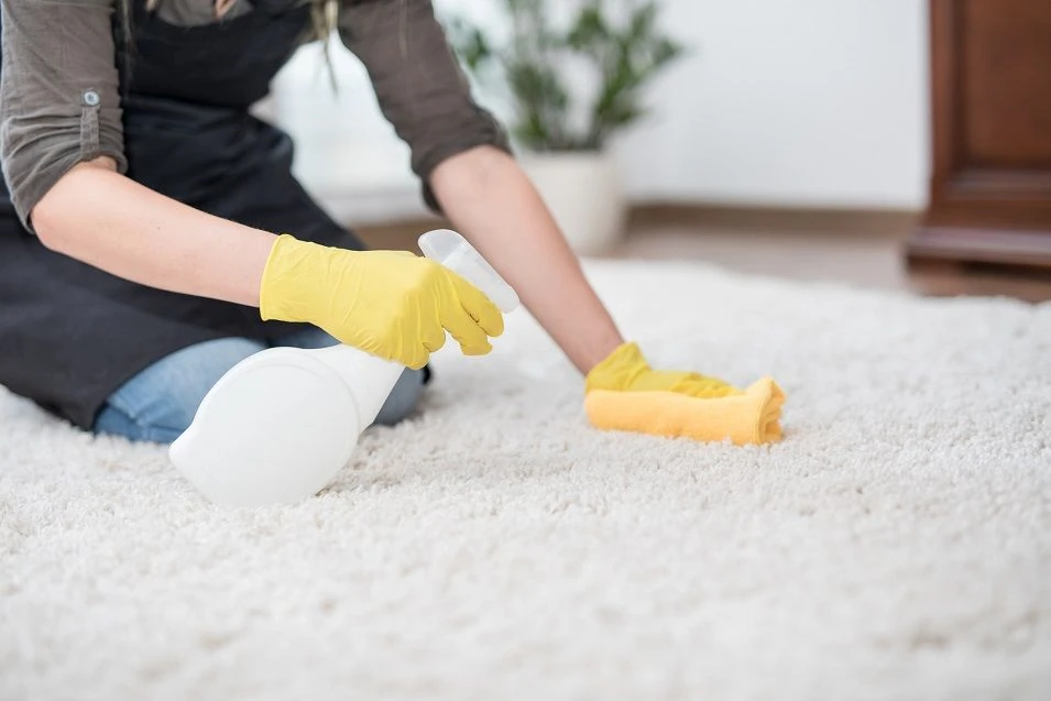 Best Spray Foam Carpet Cleaner Reviews