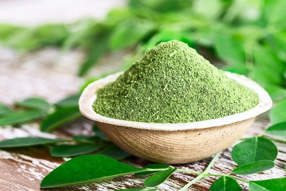 Best Moringa Powder Reviews