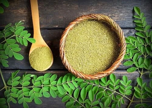 Best Moringa Powder