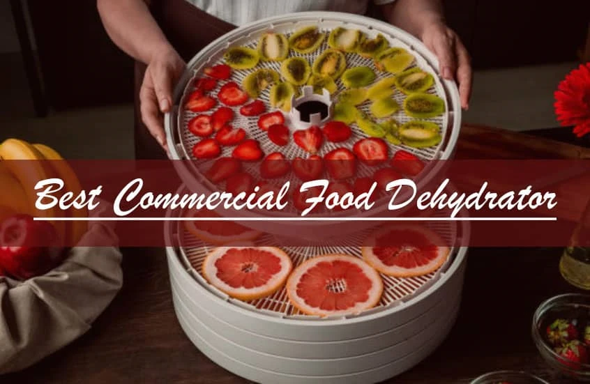 Best Commercial Food Dehydrator Reviews