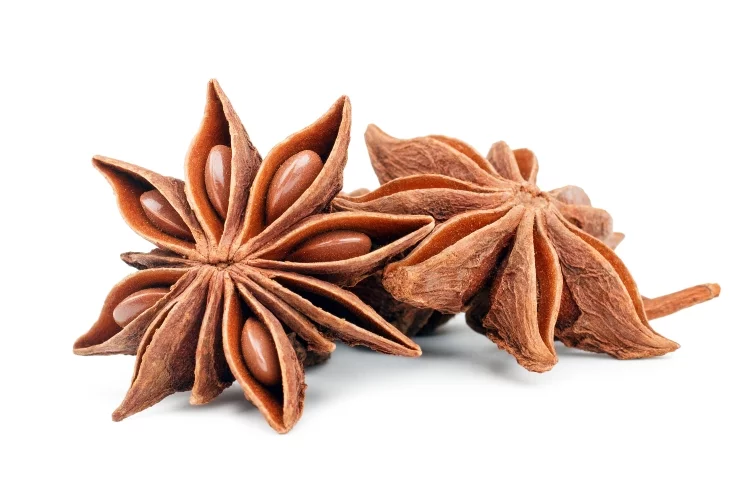 Anise seed