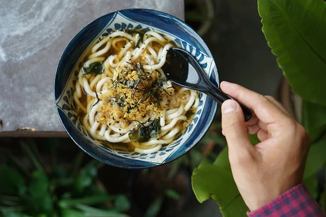 Udon Noodles Recipe