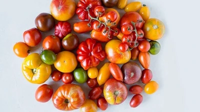 Type Of Tomatoes You Use Matters