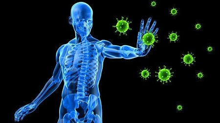 Improving The Immune System