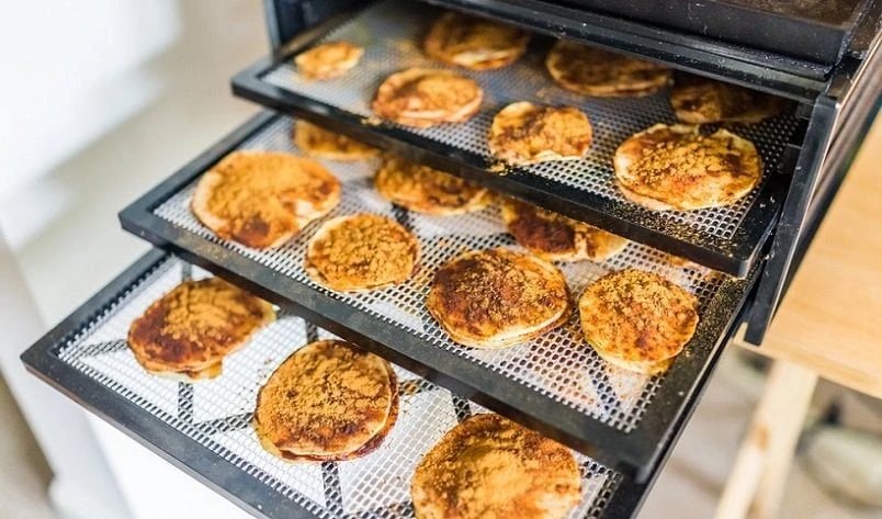 What Was Discovered By Dehydrating Food?