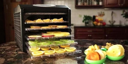Food Dehydrator Secrets People Have Known For Centuries