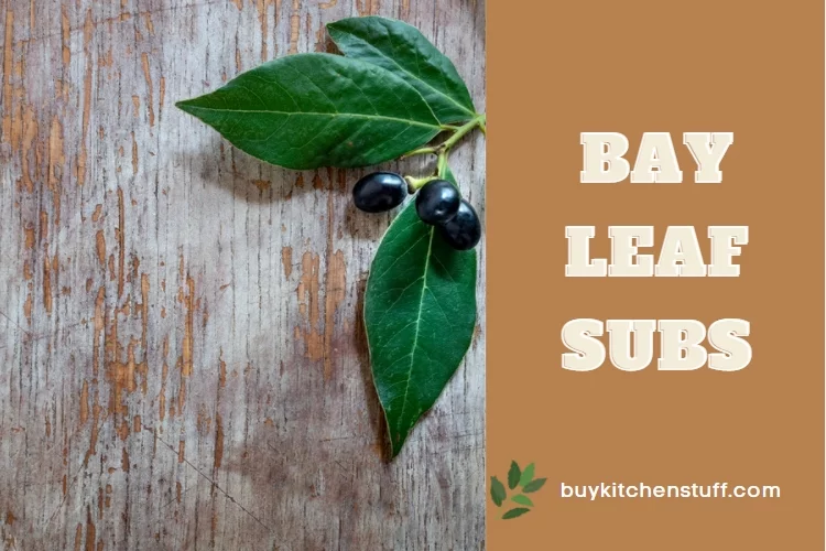 Top 7 Best Bay Leaf Substitutes in 2023