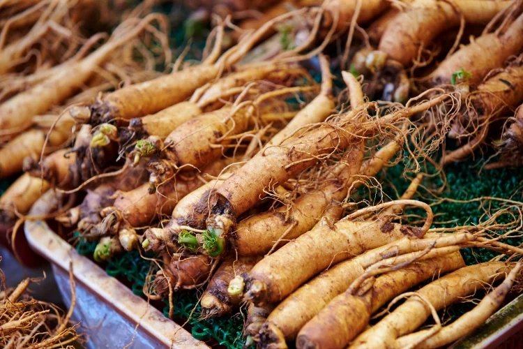 Top 7 Substitutes for Ginseng