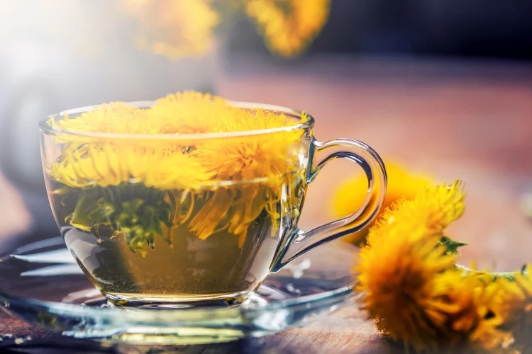 Dandelion Tea Recipe for Weight Loss