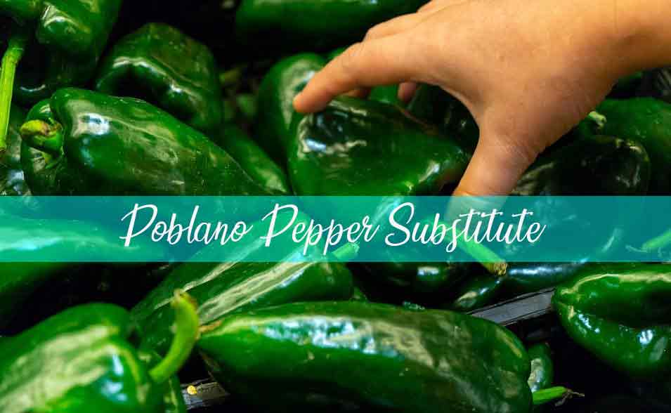 Poblano Pepper and Its Substitute