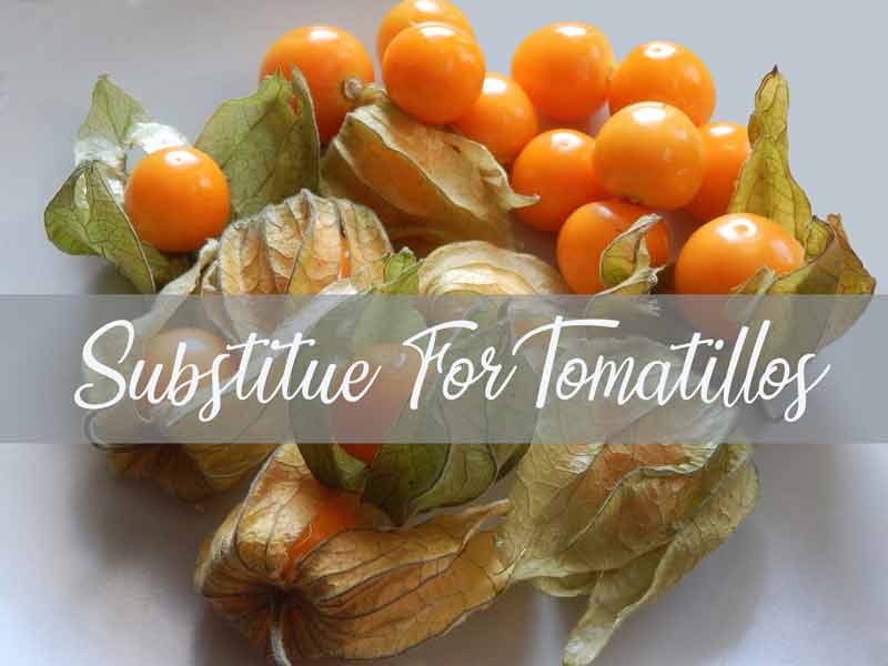 The 4 Best Substitute for Tomatillos in 2022