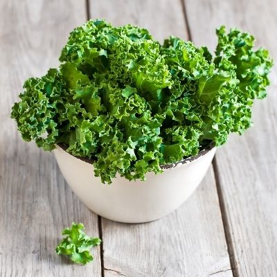 Top 11 Broccoli Substitute in terms of Taste and Nutrition