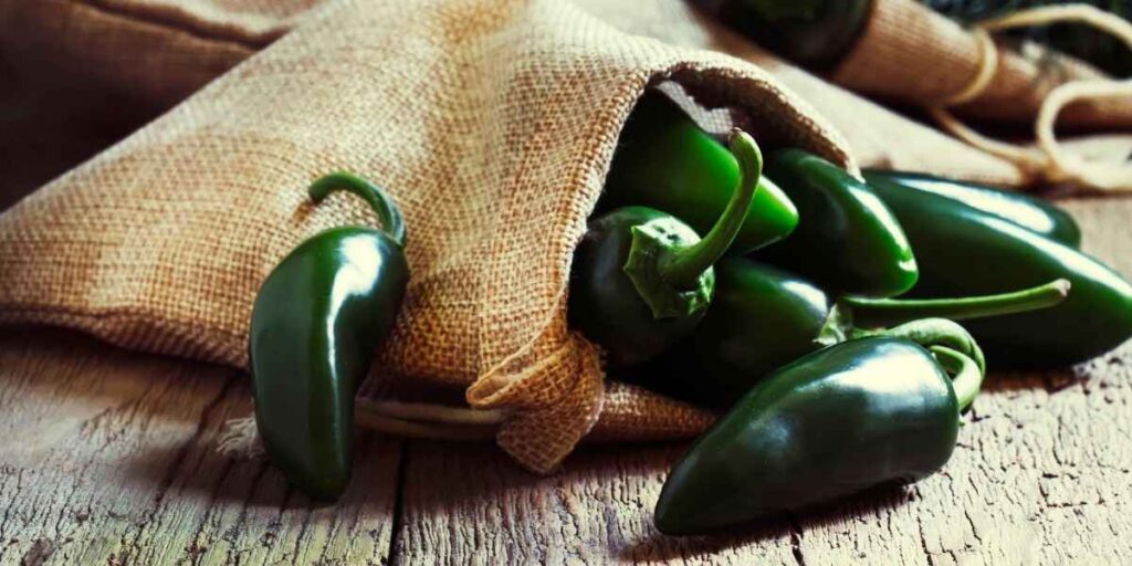 Jalapenos