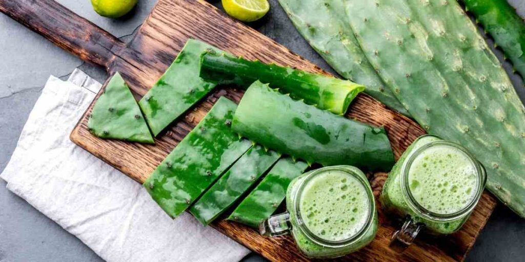 Best Okra Substitutes For Your Recipes