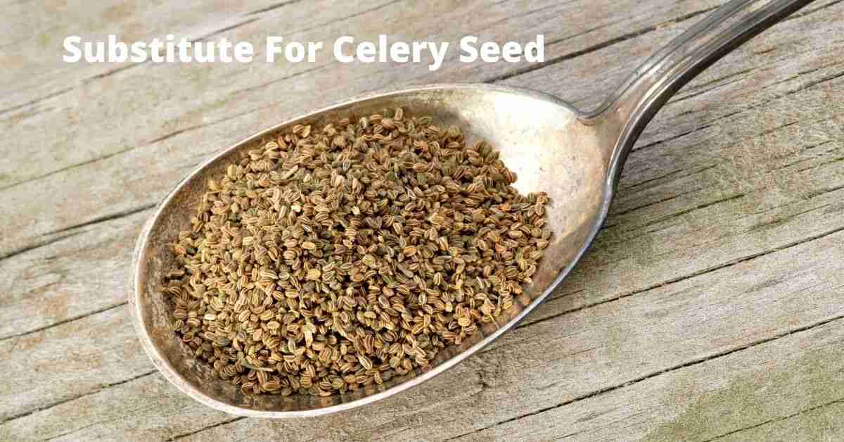 Top 10 Substitute for Celery Seed