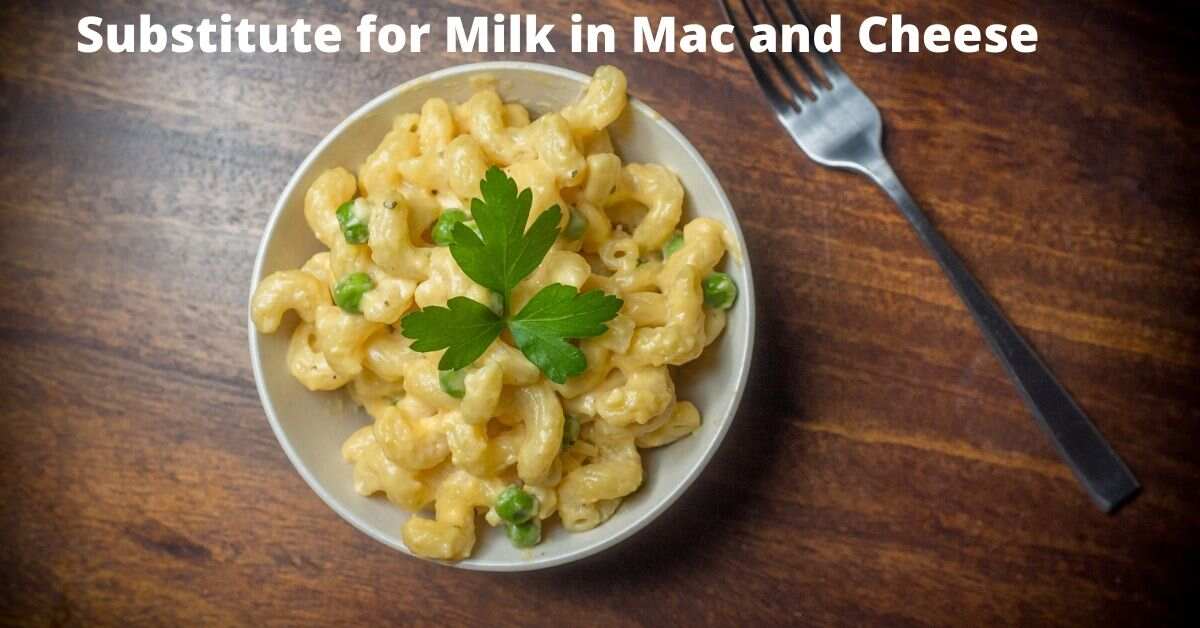 Top 16 Substitute for Milk in Mac and Cheese